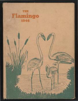 The Flamingo 1946